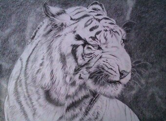 Kreslenie portrétov - 14