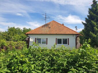 RD na pozemku 3249 m2, Veľký Ďur okres Levice - 14