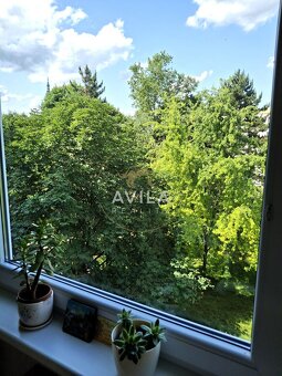 Na predaj: Priestranný 3-izbový byt v Novom Meste nad Váhom - 14