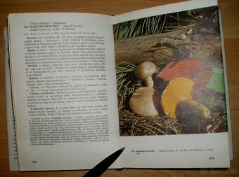 Huby lesov, polí a lúk - 14
