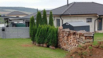 Tuja Smaragd, vavrínovec, červienka, gaštan - Rožňava - 14