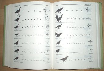 Poľovnícky náučný slovník - 14