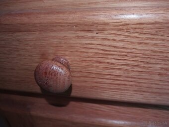 Dubová komoda, holandský nábytok - 14