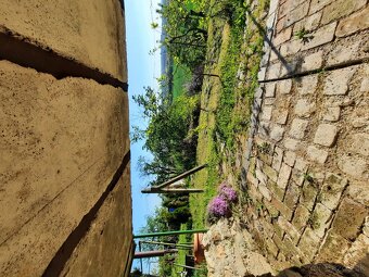Zahrada s chatkou - 14