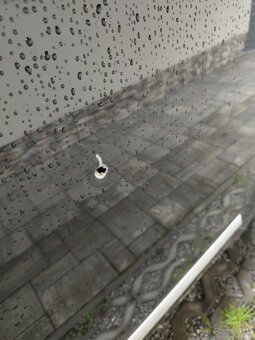 Volkswagen-t6  caravelle  highline Long 4x4 - 14