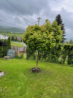 Rekreačný domček - 14