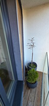 Luxusný zariadený 2 izbový byt Malinovo Tri vody - 14