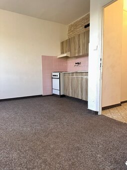 1izb. byt,40m2, Centrum ul. ČSA - 14