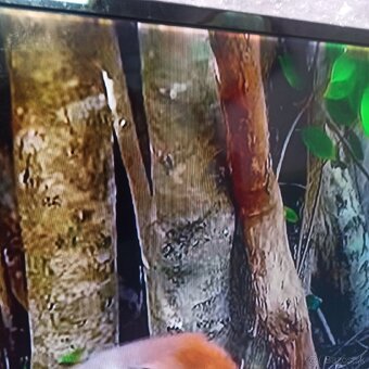 Samsung 55(138cm) smart led tv - 14