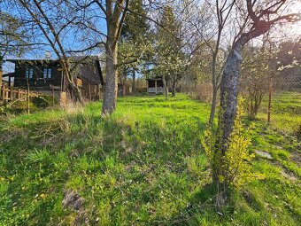 Predám rodinný dom v centre mesta. - 14