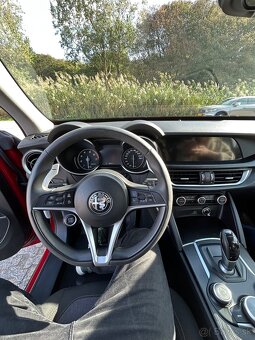 Alfa Romeo Stelvio 2.0 - 14