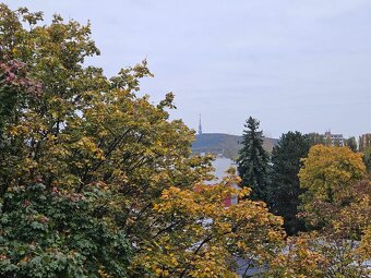 Predaj 3-izbový byt v tichej lokalite, Dubravka - 14