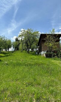 Záhrada s chatkou - 14