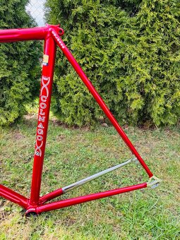 Colnago Esa Mexico Sarroni red - 14