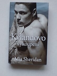 Romantika-Deveraux,Lynn, Torre,Kleypas,Sheridan a iný - 14