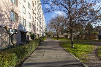 REZERVOVANÉ  Predaj 3izbového bytu na Záhoráckej ulici v Mal - 14