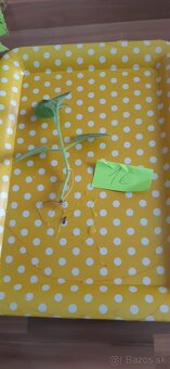 Zakorenené izbove rastliny - 14