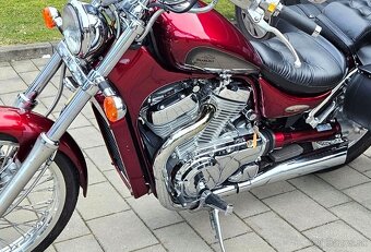 SUZUKI INTRUDER VS 800, /r.1998, Krásny originál stav - 14