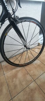Giant TCR-C Carbon - 14