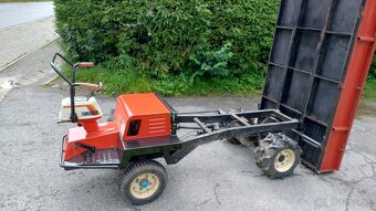 Japonský damprík - 14