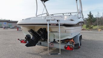 STINGRAY 225CR - 14