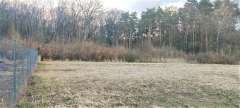 Výnimočný pozemok pod lesom, Malá Ida (Panský les), 595m2 - 14