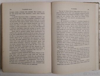 A sarkvidék remetéje 1916 - 14