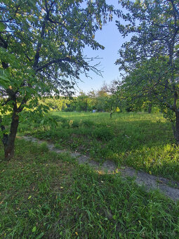 Predaj chaty v časti Vinice, Rimavská Sobota - 14