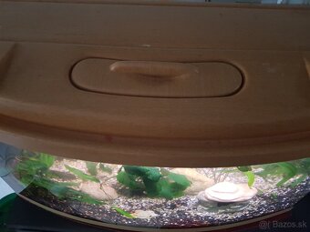 zabehnuté 54 litrové akvárium - 14