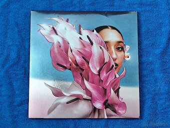 Raveena - Where the butterflies go in the rain (platňa,Vinyl - 14