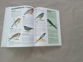 Renée Kayser: Priateľ lesa - 14