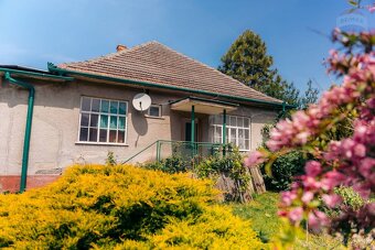 Rodinný dom s pozemkom 3 568 m² - 14