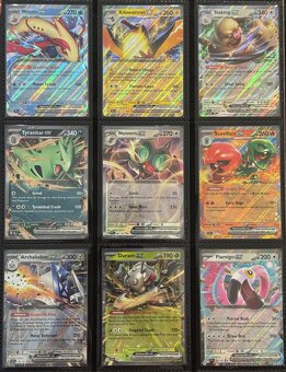 Pokemon TCG kusove karty - Ex-V-Pokeball-Promo - 14