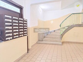 HALO reality - Predaj, jednoizbový byt Bratislava Nové Mesto - 14