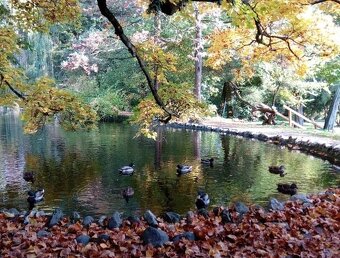 3iz byt 62,92m2 v tichom prostredí Topoľčianok - 14