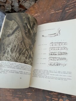 Predám knihu polovníctvo v obrazoch - 14