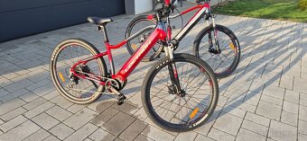 Ebike Lectron esconder - 14