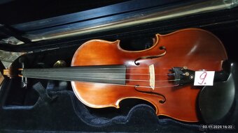 PROFESIONALNE HUSLE - 14