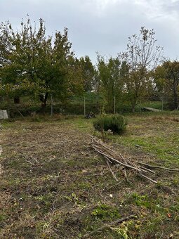 Záhrada vo Svätom Jure - 14