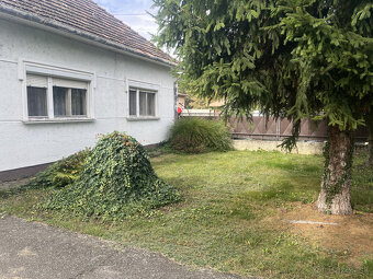 Na predaj rodinný dom vo Vrakúni, blízko Dunajskej Stredy - 14