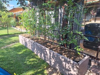 Vyvýšené betónové záhony - 14