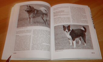 Severské plemená psov - 14