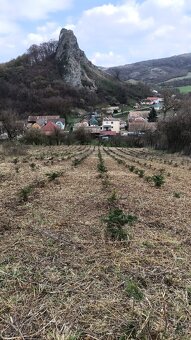 Kosenie, mulčovanie tràvy vo velkých zàhradàch - 14