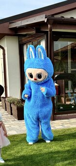 Maskot a skákací hrad - 14