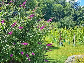 PREDAJ - rodinný dom v obci Cífer - novostavba - 14