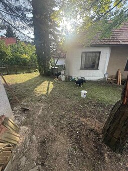 Na predaj 2 rodinné domy na 1 pozemku obec Radobica - 14