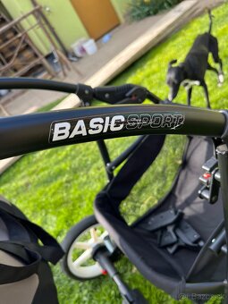 Kočík Rico Basic Sport 3v1 - 14