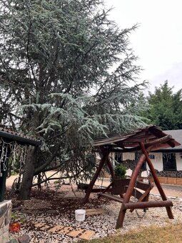 Výnimočná 9-izbová nehnuteľnosť s veľkým pozemkom – ideálna - 14