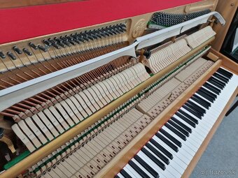 Hohner Piano pre viacero generácie - 14