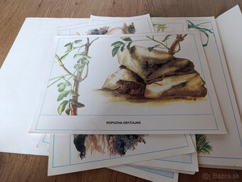 Staré školské pomôcky - 14